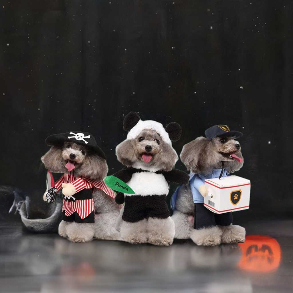European And American Pet Products Clothing